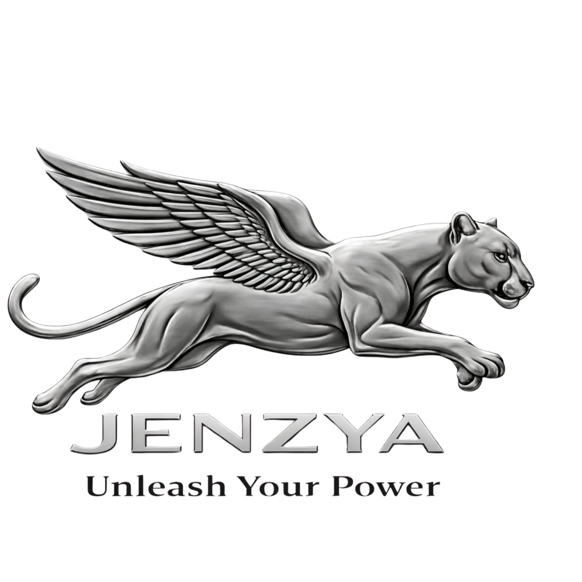 Jenzya Sports Shoes